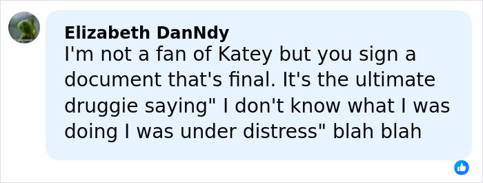 Social media comment defending Katy Perry amid controversy over lawsuit against gravely ill veteran.