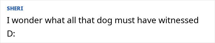 Text comment on white background saying I wonder what all that dog must have witnessed D, relating to mystery surrounding influencer’s vanishing.