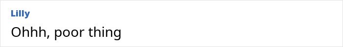 Comment saying Ohhh, poor thing in a simple social media interface related to influencer mystery and vanishing.