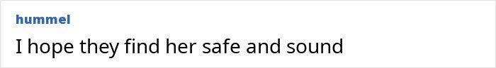 Comment on mysterious influencer vanishing after Christmas party, expressing hope for her safe return.
