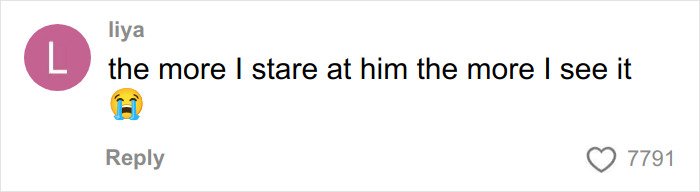 Comment on social media expressing growing belief that Timoth&eacute;e Chalamet is secretly masked rapper EsDeeKid.