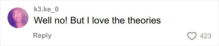 Comment on social media with a profile picture, expressing love for the theories about Timoth&eacute;e Chalamet as masked rapper EsDeeKid.