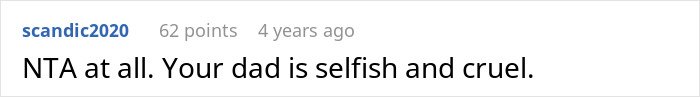 Screenshot of an online comment calling a dad selfish and cruel after ruining a daughter's Christmas memory.
