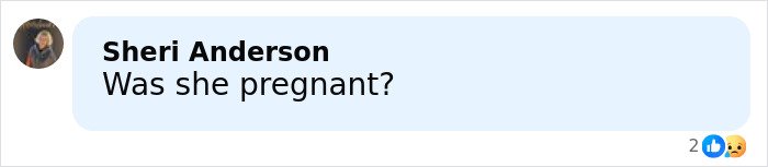 Screenshot of a social media comment asking if the influencer was pregnant amid mystery after Christmas party vanishing.