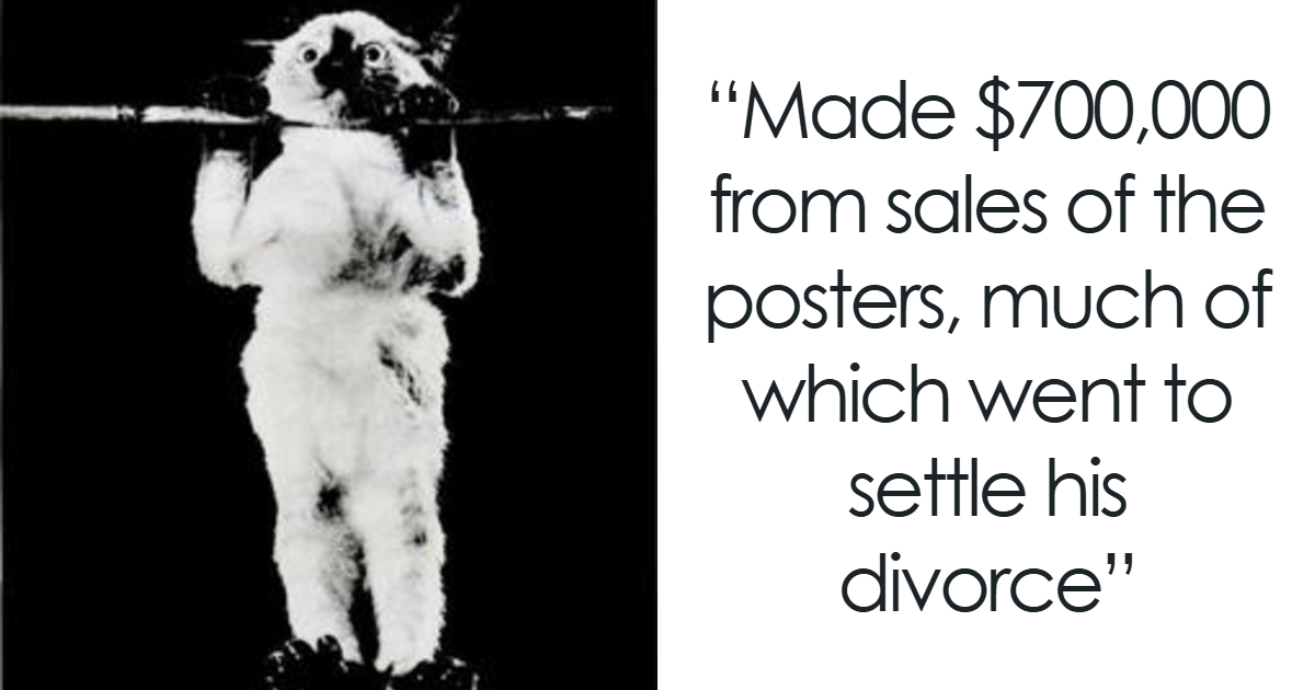 “Mining” The ‘Depths Of Wikipedia,’ One Hilarious Screenshot At A Time (56 New Pics)