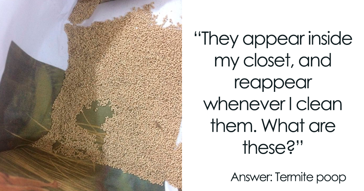 39 Times People Had No Idea What They Were Looking At, But The Internet Knew What It Was Right Away