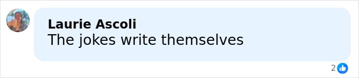 Comment by Laurie Ascoli saying the jokes write themselves on a social media platform.