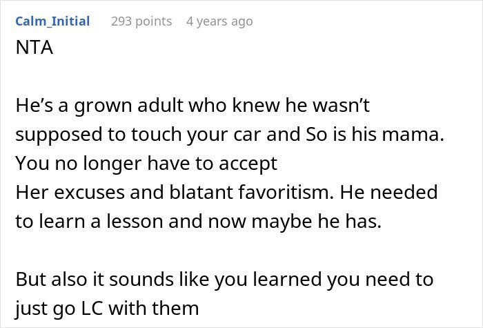 Screenshot of a Reddit comment discussing family conflict over a half-brother who stole a woman's car and got arrested.