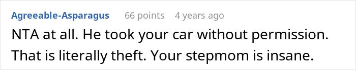 Screenshot of a comment discussing a woman’s half-brother who stole her car, leading to family conflict