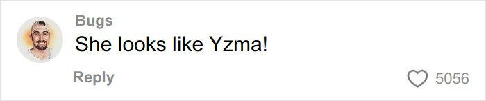 Comment by user Bugs expressing that someone looks like Yzma, with a profile picture of a smiling man wearing a beanie.