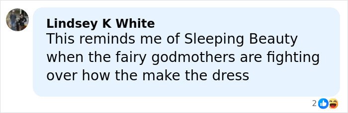 Comment on social media comparing a red carpet look to Sleeping Beauty’s fairy godmothers fighting over a dress.