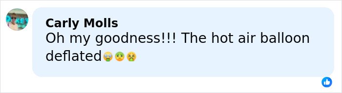 Social media comment reacting with shock and disgust to Rihanna's red carpet look involving a diaper bag controversy.