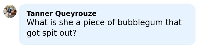 Woman commenting online with a question about Rihanna's red carpet look involving a diaper bag reaction.