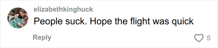 Comment on social media from user elizabethkinghuck expressing disappointment about a flight after witnessing body-shaming text on plane.