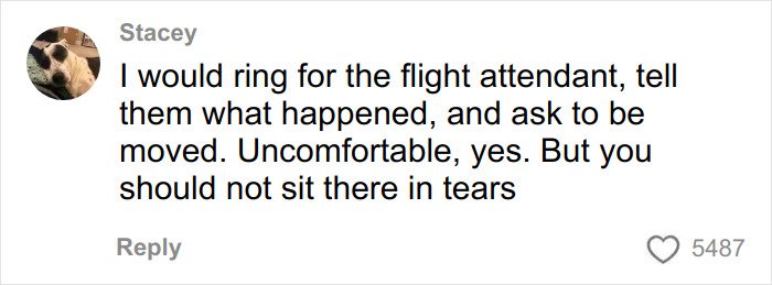 Comment advising to alert flight attendant after witnessing body-shaming text causing woman to break down in tears on flight.