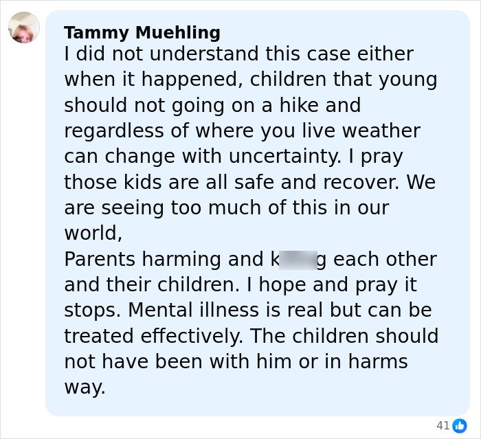 Alt text: Comment discussing children’s heartbreaking words after dad’s disturbing behavior on mountain and concerns for their safety.