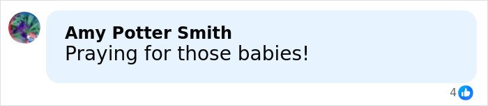 Comment by Amy Potter Smith expressing concern and praying for children after dad's disturbing behavior on mountain.