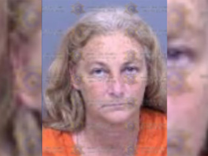 Mugshot of woman involved in a chilling 911 call after brutally attacking her sleeping boyfriend, shocking police authorities.