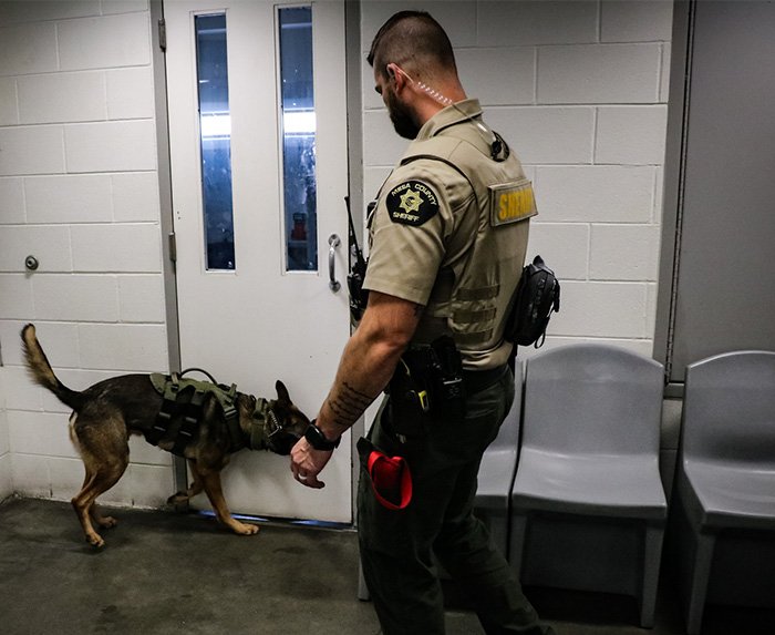 Sheriff officer with police dog conducting a search inside a building responding to a woman’s chilling 911 call incident.