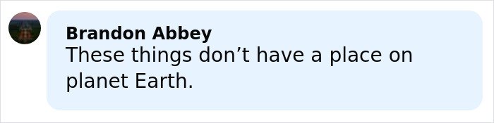 Comment by Brandon Abbey expressing distress over a horrifying wedding tragedy and missing child's body discovery.