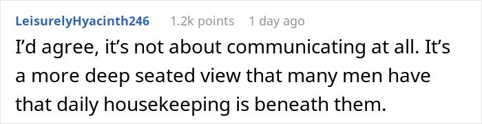 Comment from LeisurelyHyacinth246 about men’s attitudes toward daily housekeeping and relationship patterns.