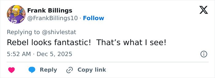 User comment praising Rebel Wilson’s photo with Ariana Grande gaining attention for bizarre detail noticed by people online