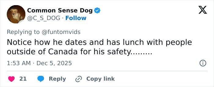 Tweet from Common Sense Dog commenting on a public figure's international meetings for safety, posted December 5, 2025.