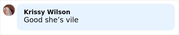 Screenshot of a social media comment from Krissy Wilson saying 