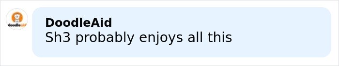 Comment by DoodleAid saying Sh3 probably enjoys all this, displayed in a social media style text box.