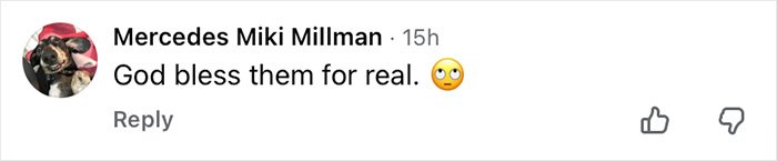 Social media comment criticizing Air Canada passenger over expired meal dispute with a twist.