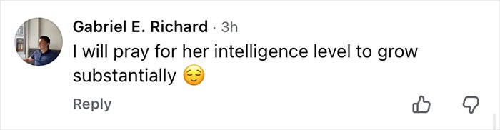 Comment from Gabriel E. Richard criticizing intelligence level, reacting to an Air Canada passenger dispute about expired meal complaint.