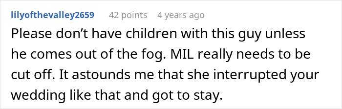 Reddit comment criticizing a mother-in-law’s behavior for disrupting a wedding and upsetting the son on his big day.