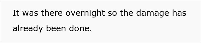 Text excerpt showing a statement about overnight damage, related to a man demanding cousin pay for his cruel prank and aunt’s reaction.