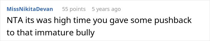 Screenshot of an online comment where a user pushes back against an immature bully over closing closet door request.