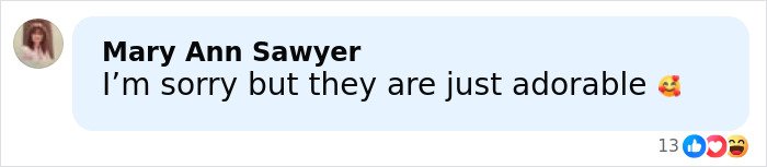 Comment by Mary Ann Sawyer praising a couple as adorable, with 13 likes and various reaction emojis.