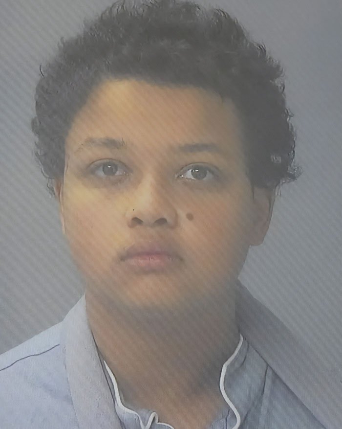 Mugshot of accused teen involved in disturbing tactic used to lure daughter into woods before attack