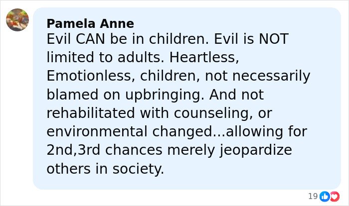 Comment by Pamela Anne discussing disturbing tactics accused teens used to lure daughter into woods before attack.