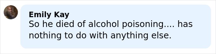 Comment from Emily Kay discussing alcohol poisoning as cause of death related to cruise passenger incident.