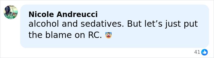 Comment by Nicole Andreucci discussing alcohol and sedatives related to cruise passenger incident.