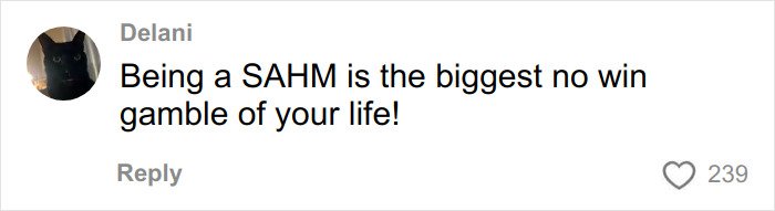 Comment from Delani expressing that being a SAHM feels like a no-win gamble in life, highlighting emotional struggle.