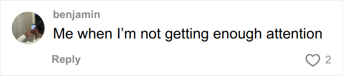 Social media user’s humorous comment about not getting enough attention, illustrating woke social media troll reaction.