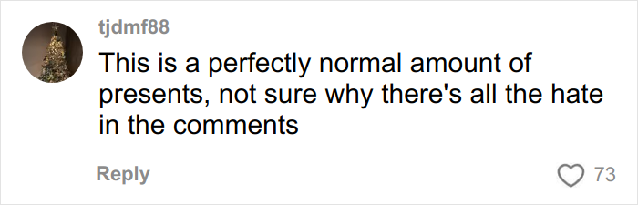 Comment expressing confusion over backlash about the Christmas gift haul for daughter on social media.