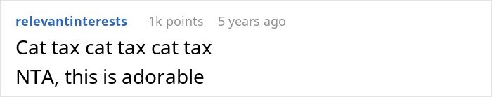Screenshot of a Reddit comment praising a cat for receiving an old laptop, highlighting cute and funny internet moments.