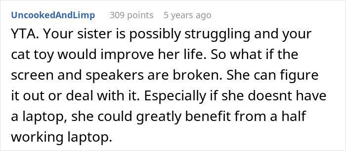 Screenshot of a comment discussing the impact of giving an old laptop to a cat instead of a sister in an internet debate.