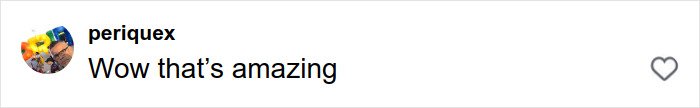 Comment saying wow that&rsquo;s amazing in black text on a white background, related to fan recreating Drew Barrymore&rsquo;s iconic 1989 Oscars dress.