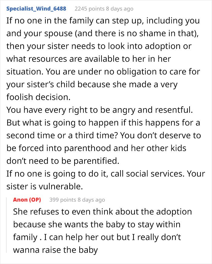 Reddit conversation about a childfree woman refusing responsibility for her sister&rsquo;s new baby and adoption concerns.