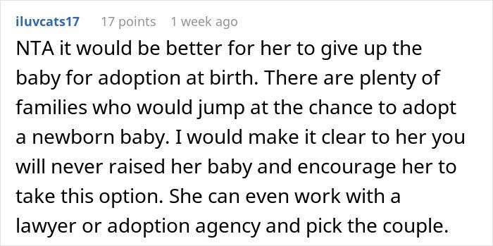 Reddit comment discussing a childfree woman refusing responsibility for her sister&rsquo;s new baby and advising adoption options.