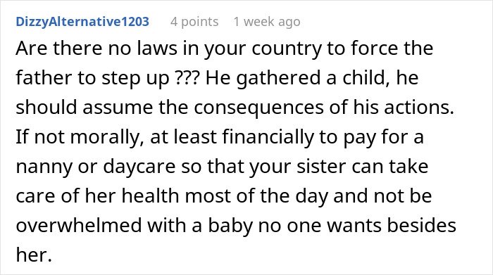 Comment discussing responsibility and financial support for a child, referencing a childfree woman and her sister&rsquo;s baby.