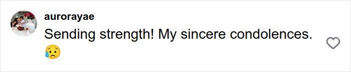 Comment expressing condolences and sending strength related to Rob Reiner's daughter after parents' brutal slaying in LA home.