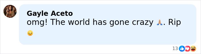 Comment by Gayle Aceto expressing shock and sadness over Rob Reiner's daughter&rsquo;s heartbreaking post before parents found slain in LA home.